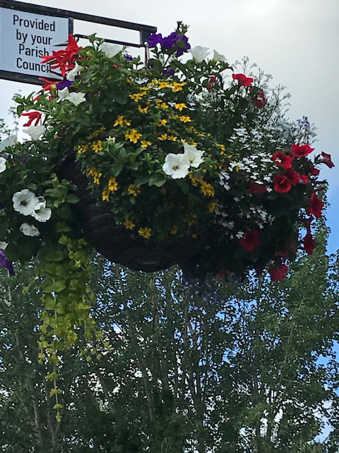 flowers in a hanging basket